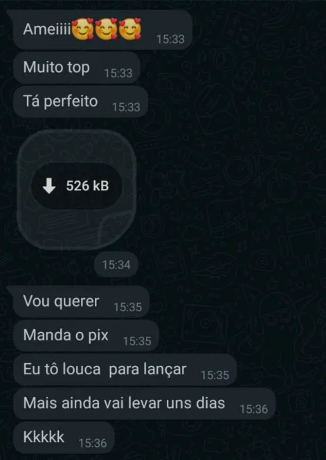 Print de WhatsApp com feedback positivo de cliente sobre o atendimento